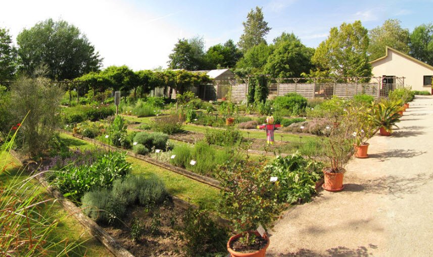 Conservatoire National des Plantes à Parfum, Médicinales et Aromatiques, Milly-la-Forêt, France, France